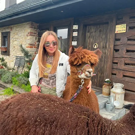 Malinowa Jankowice (Chrzanow)