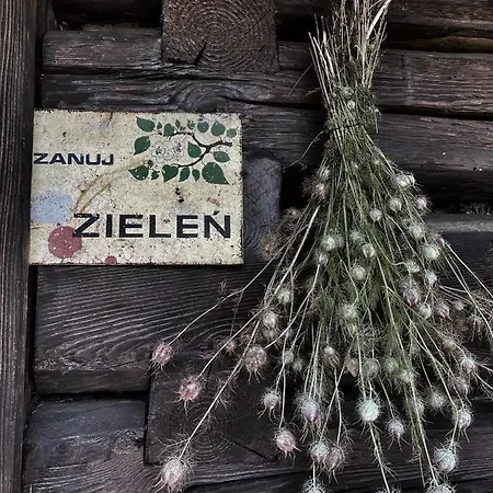 Malinowa Prázdninový dům Jankowice (Chrzanow)