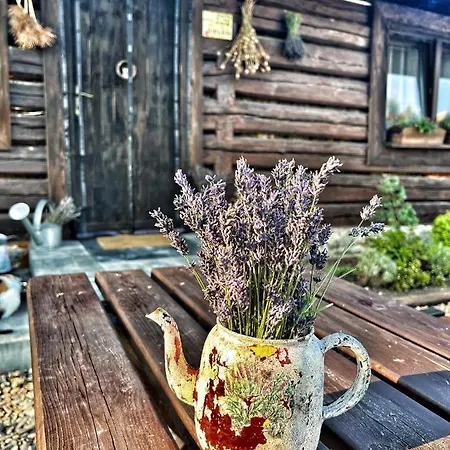 Prázdninový dům Malinowa