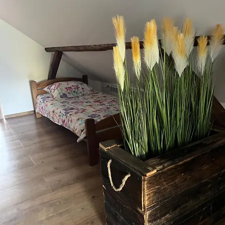 Malinowa * Jankowice (Chrzanow)