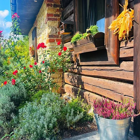 Malinowa * Jankowice (Chrzanow)